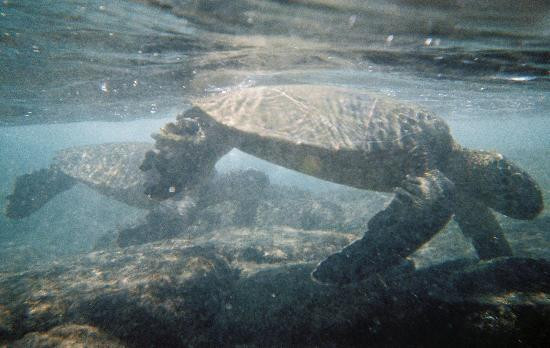 海滨公园-凯乌渥必去景点