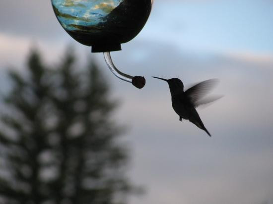 Hard Tack Mine Tours & Museum-Lake City必去景点