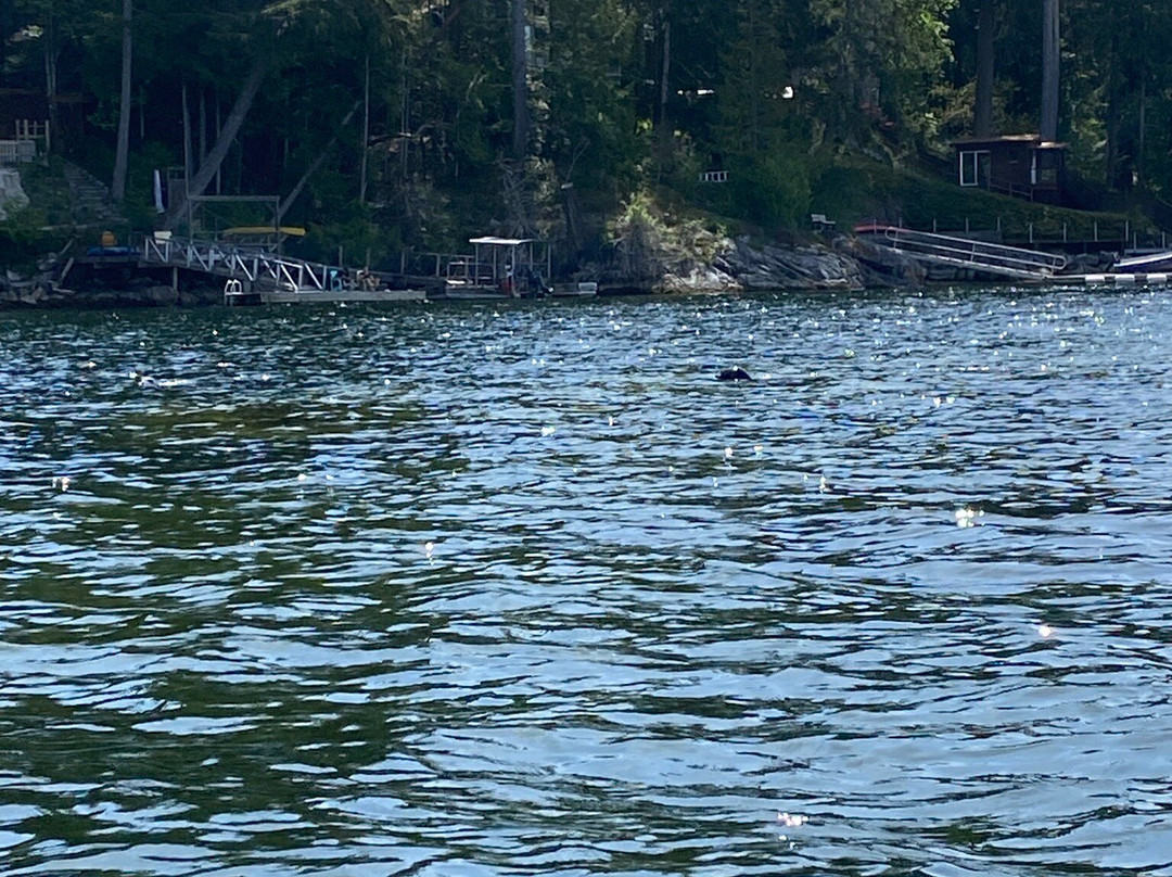 Pedals & Paddles Adventure Sports-Sechelt必去景点