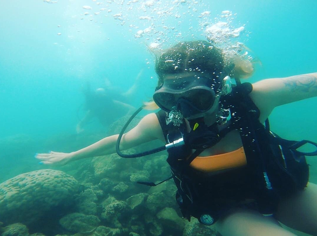 Try Scuba Diving-火奴鲁鲁必去景点