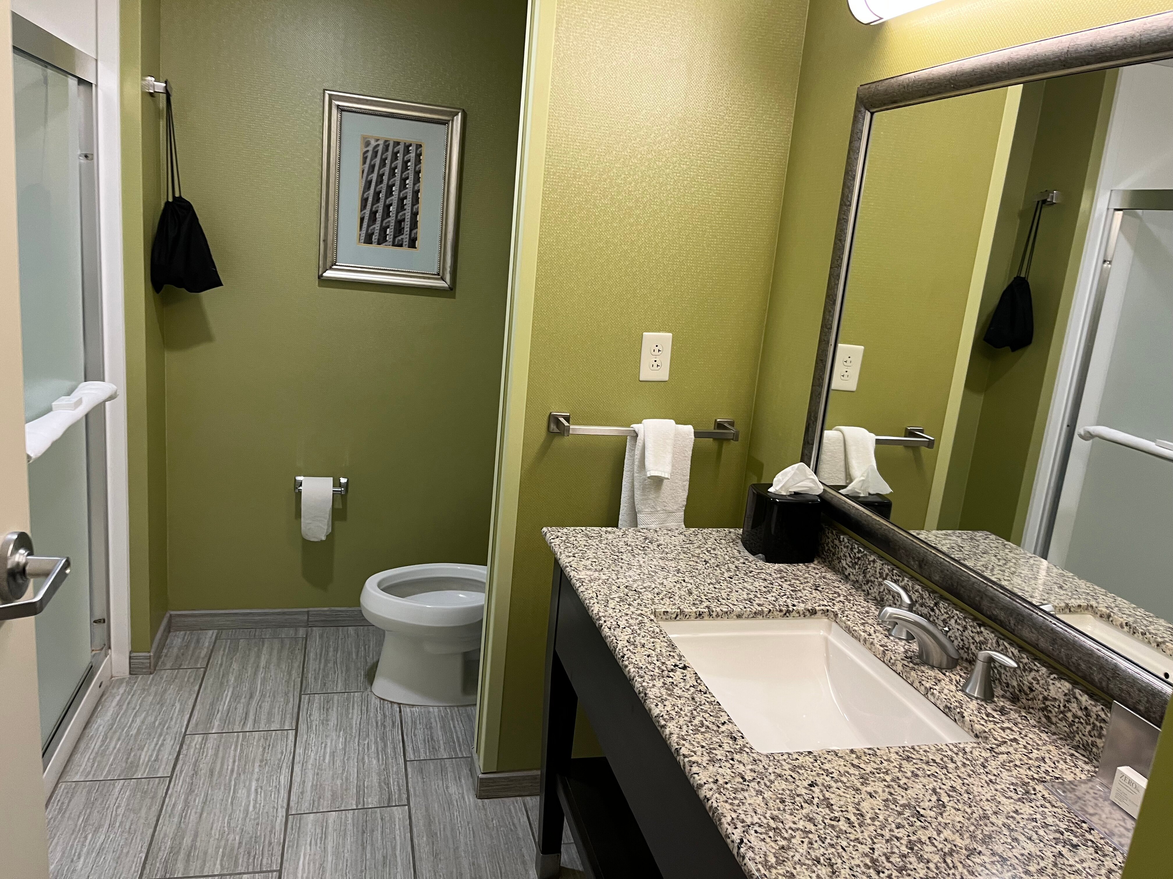 Hampton Inn & Suites Buffalo/airport-浴室