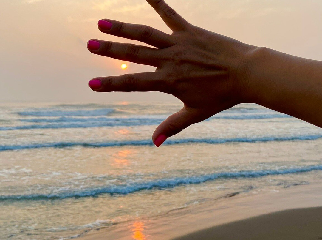 Hotel Estrella Del Mar主图