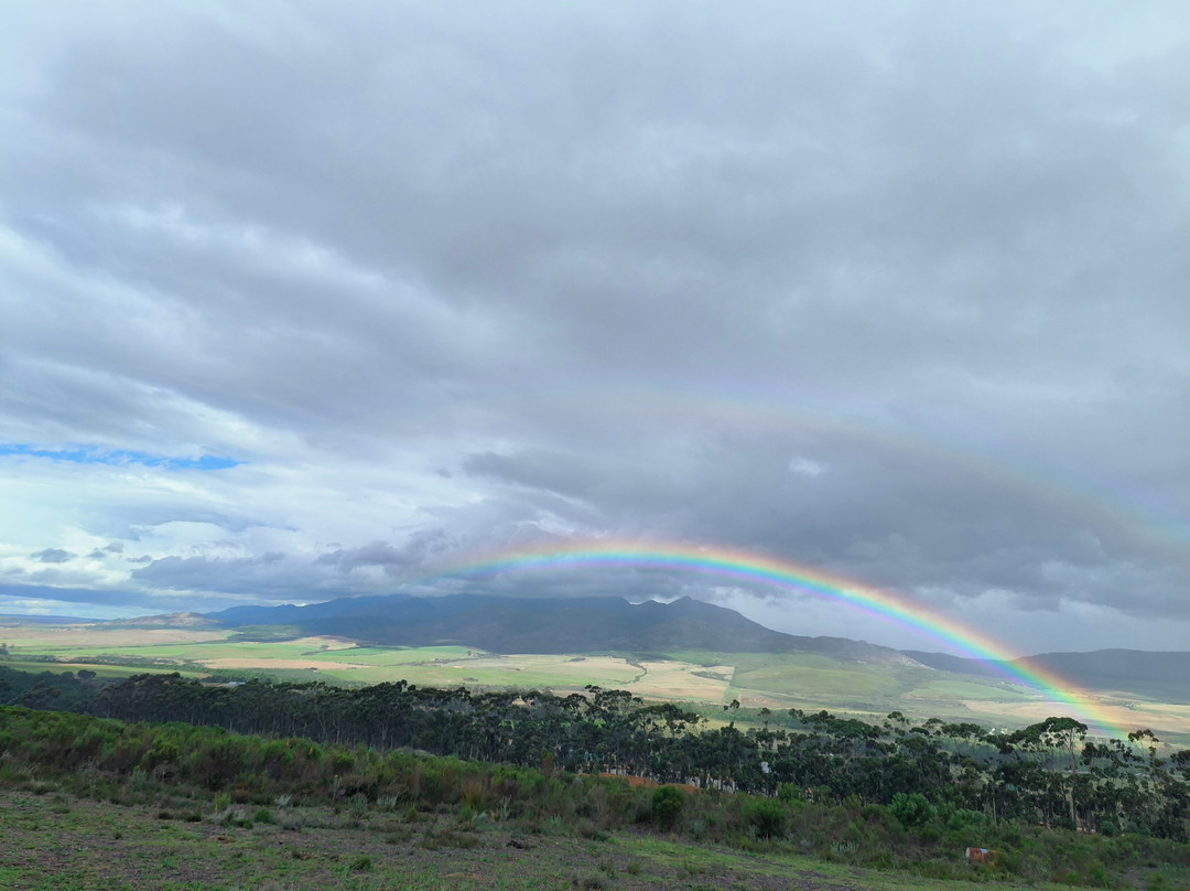 Honingklip Equestrian-Botrivier必去景点