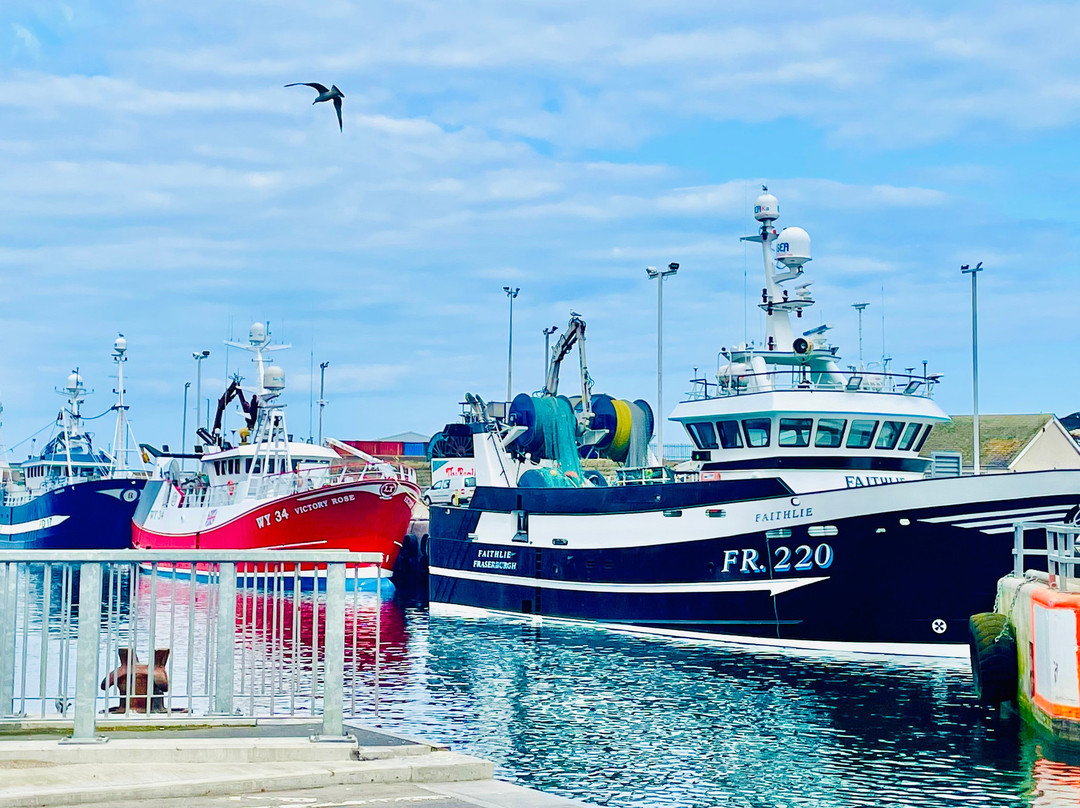 Peterhead Port-Peterhead必去景点