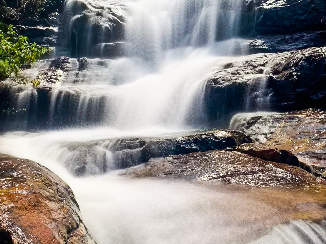 Waterfall Tours景点图片
