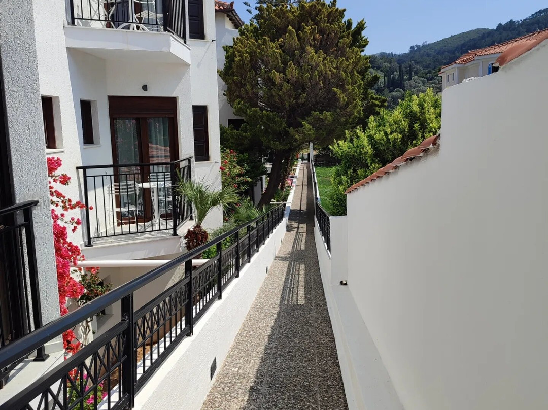 Kalidon Beach Hotel主图