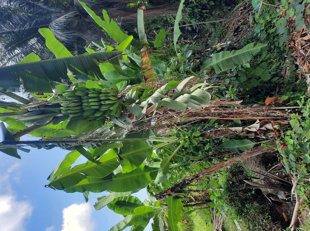 Kerta Gangga Waterfall-龙目岛必去景点