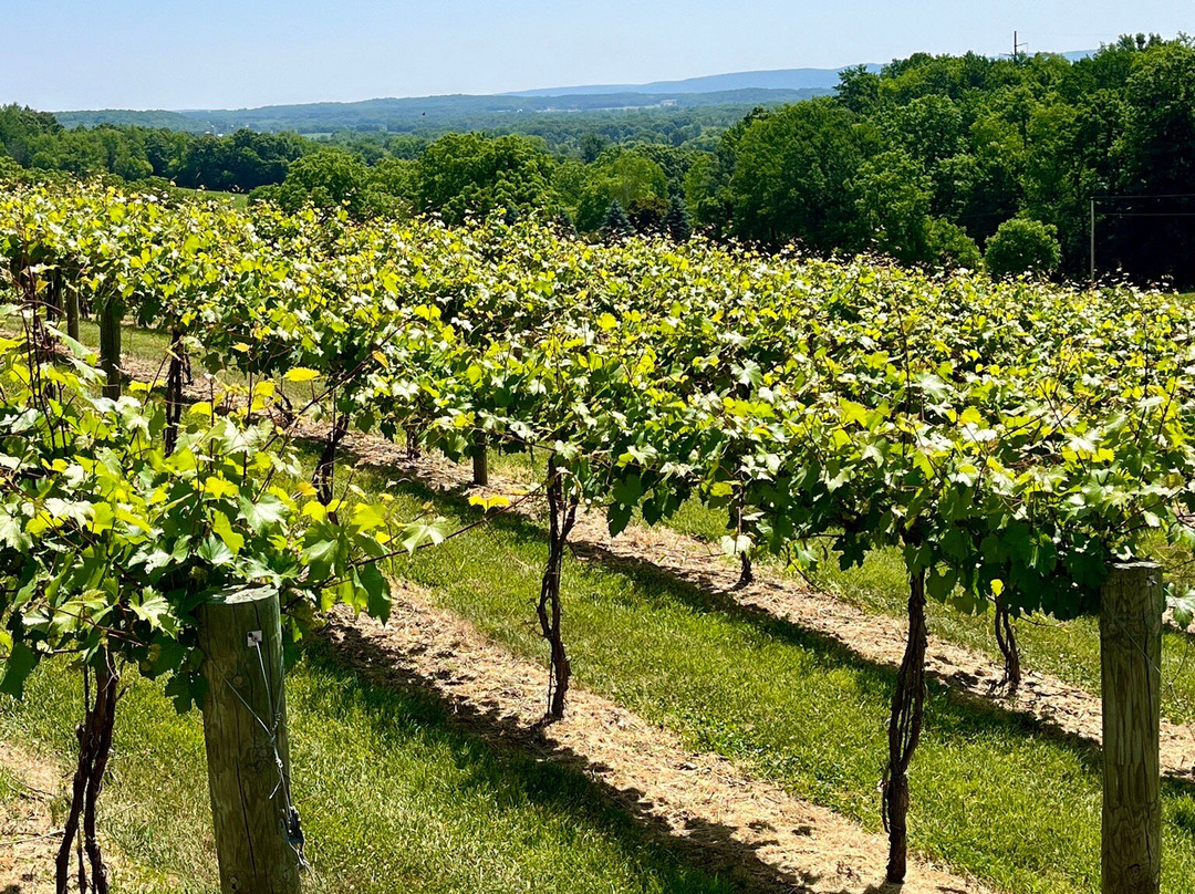 Baraboo Bluff Winery-巴拉布必去景点