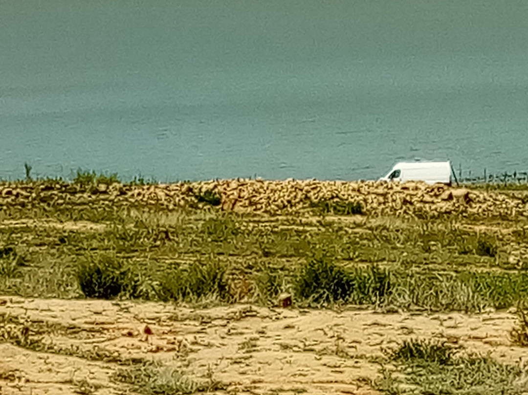 El Vado Lake State Park-Tierra Amarilla必去景点