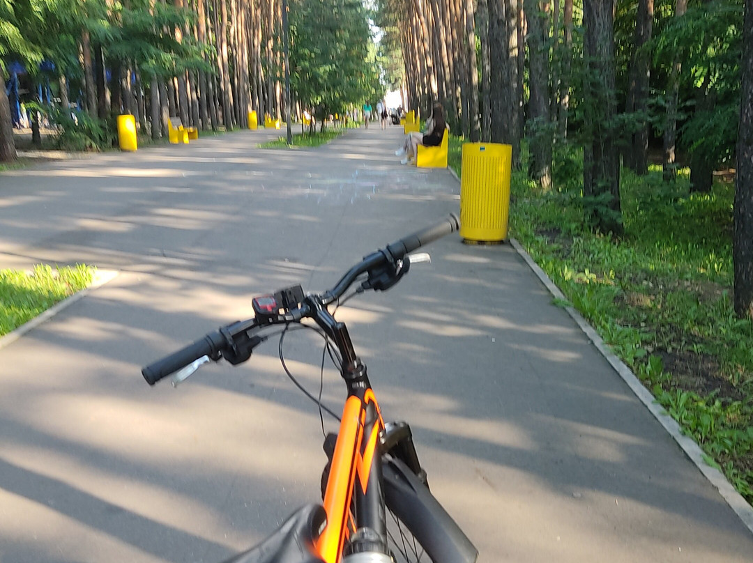 Victory Park-Lipetsk必去景点