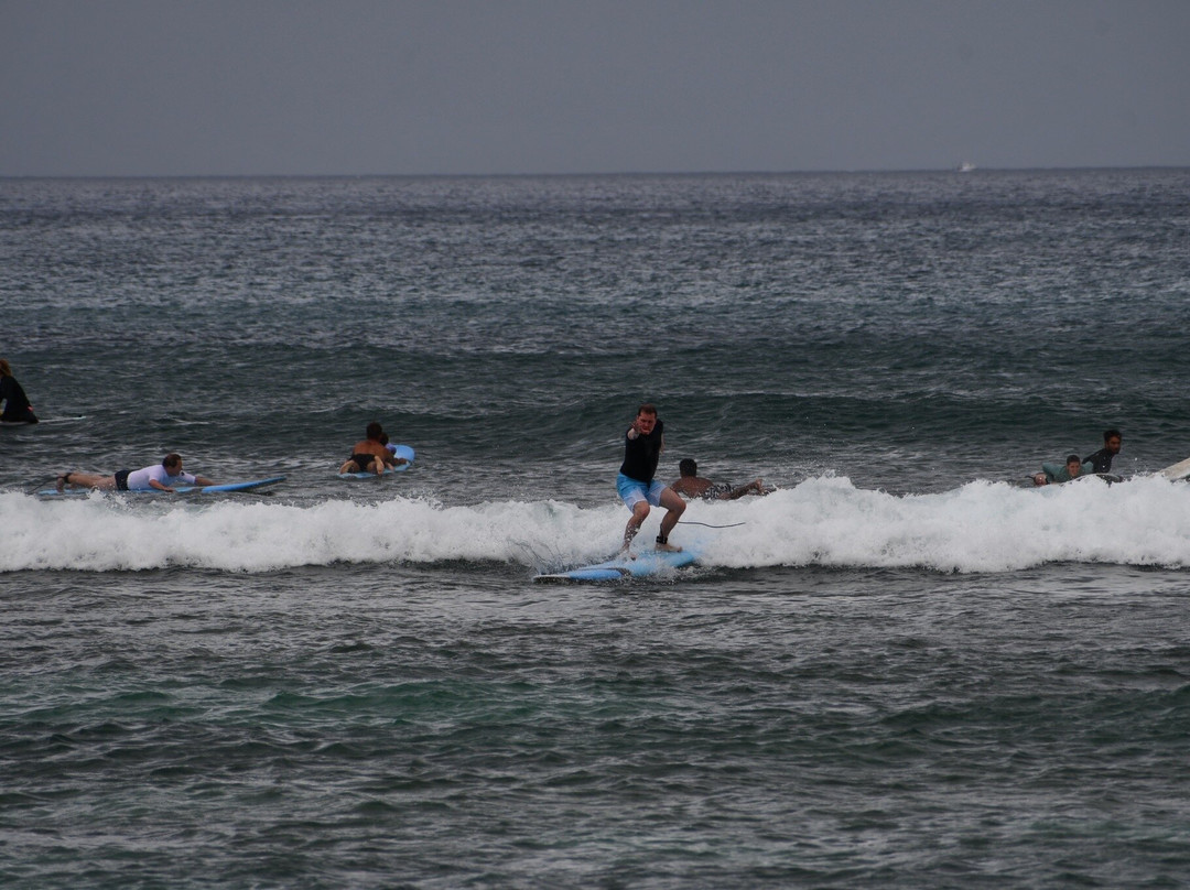 North Shore Surf Lessons-哈雷瓦必去景点