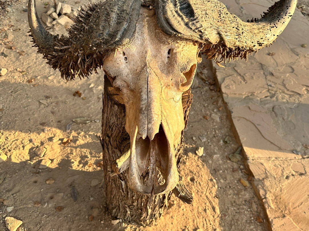 Eden Tours and Travel-桑给巴尔岛必去景点