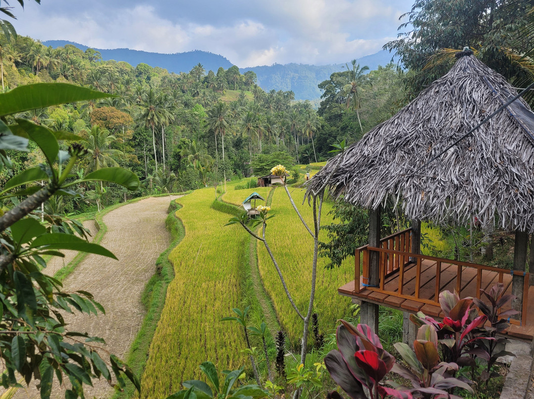 Buda's Homestay Lemukih主图