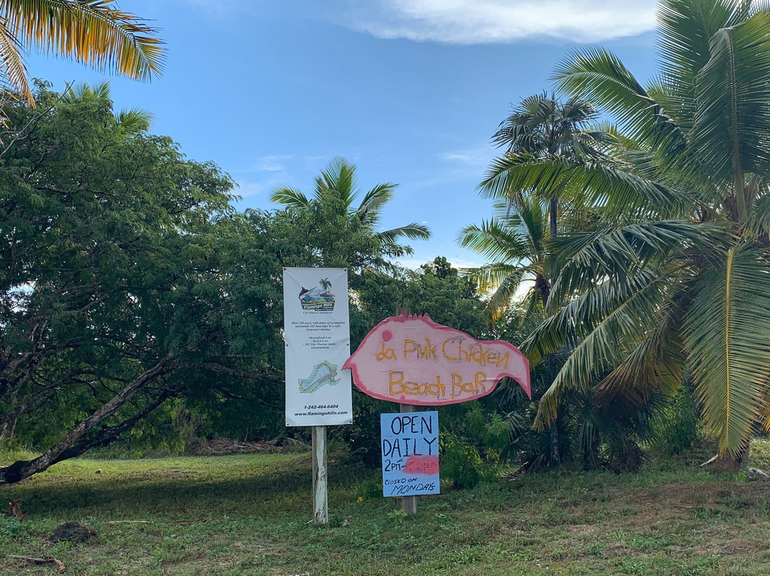 Da Pink Chicken Beach Bar-Cat Island必去景点