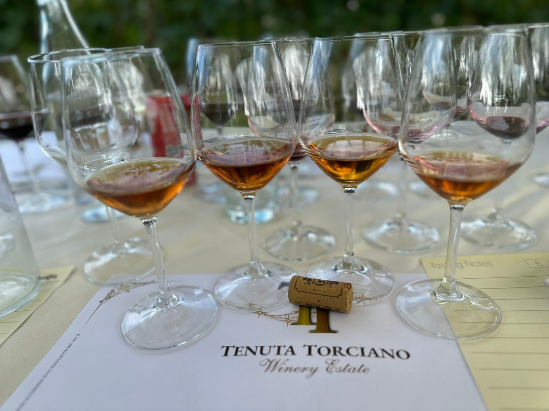 Francesco Tour-格罗塞托必去景点