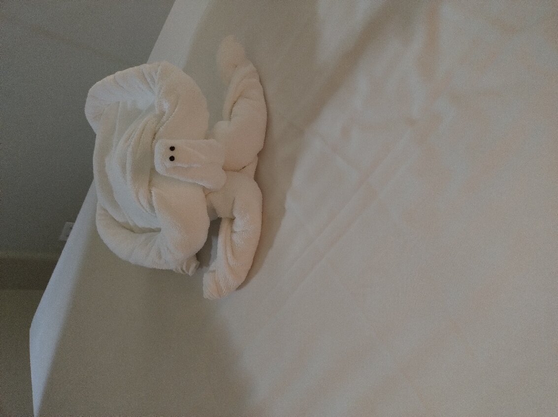 Ubatuba Eco Hotel-官方