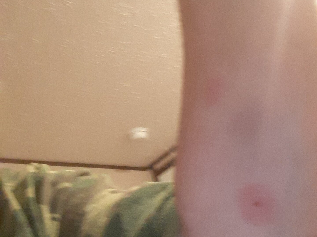 The Micanopy Inn主图