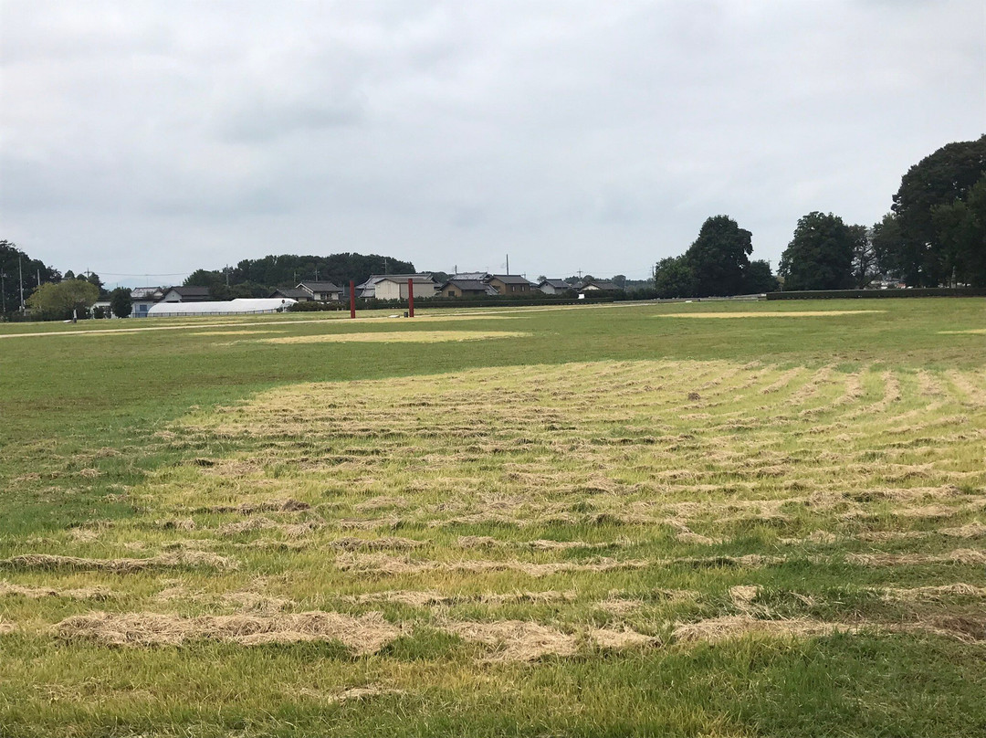 Shimotsuke Kokubun-ji Temple Remains-下野市必去景点