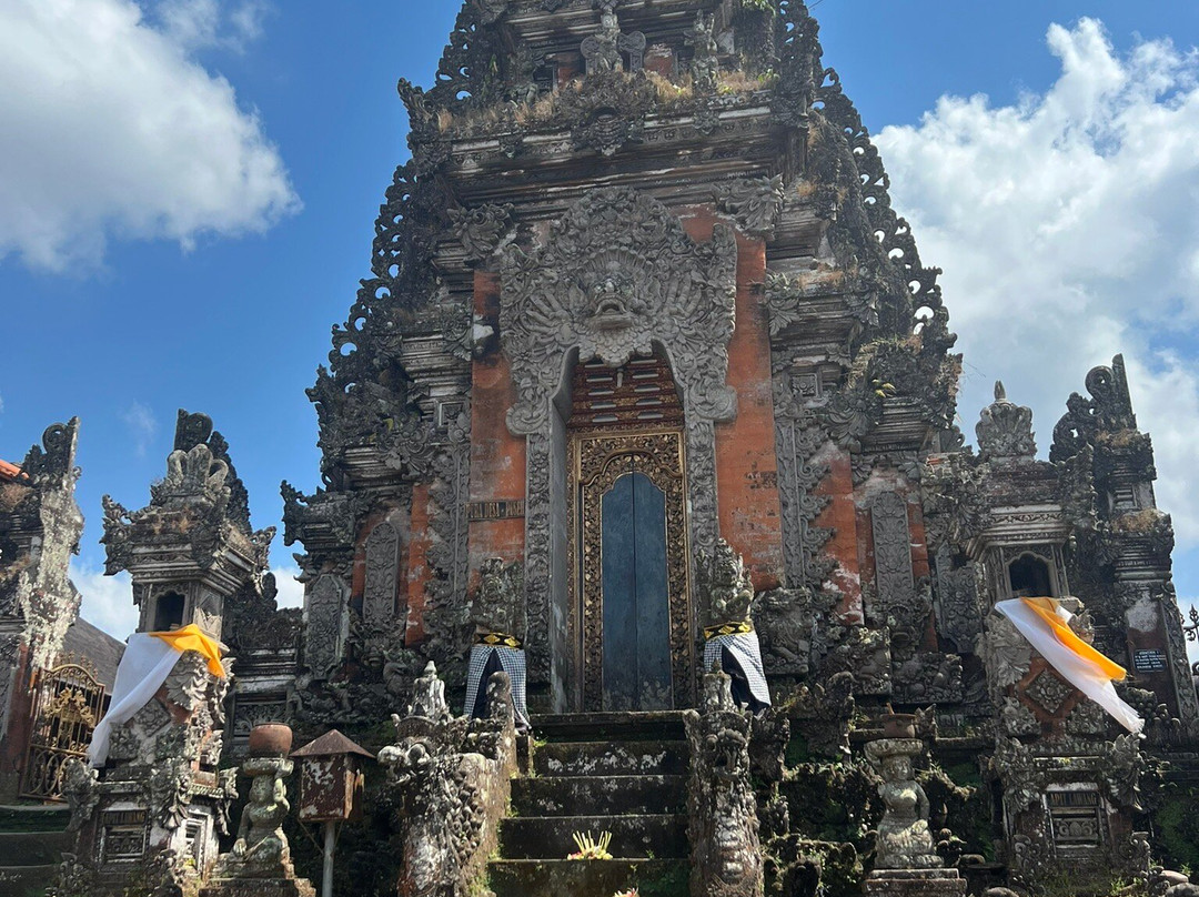 Green Bikes Bali e-bike tours Ubud景点图片
