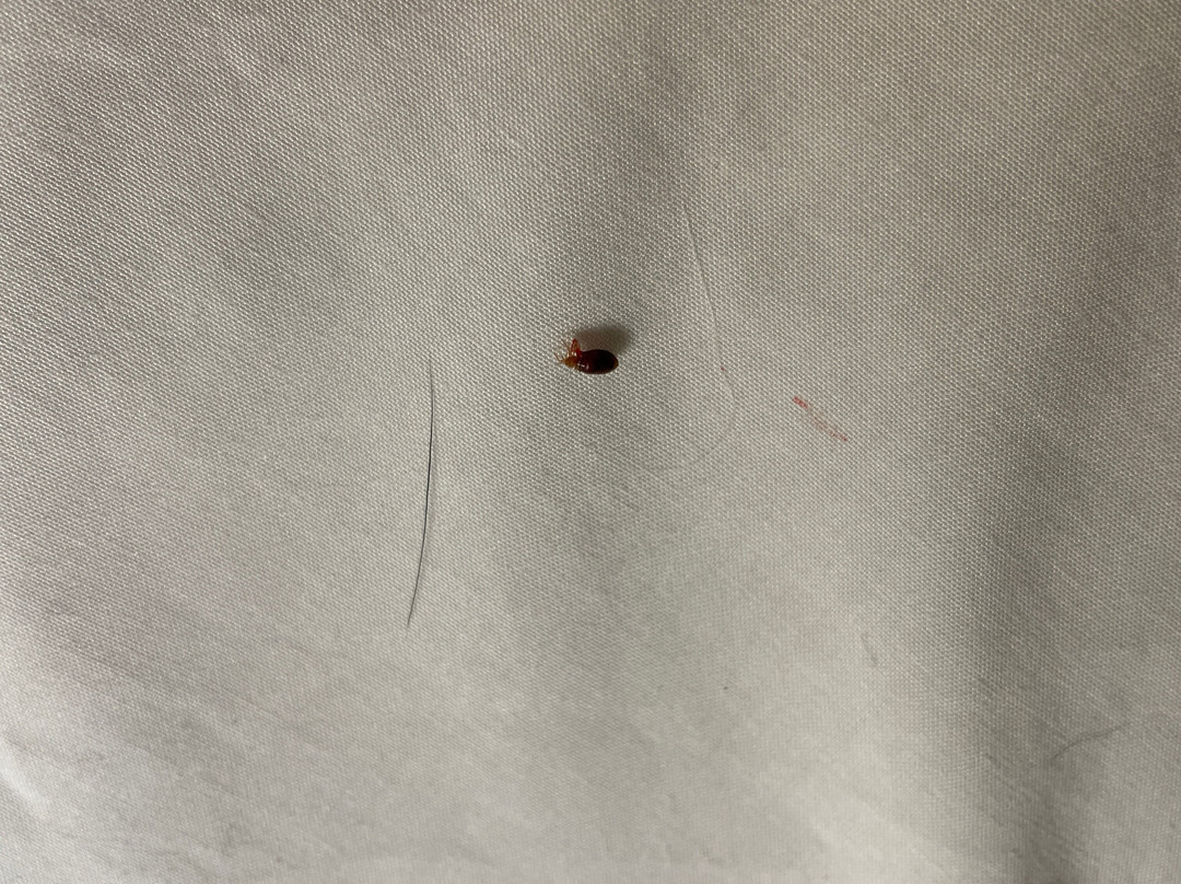 马洞汽车旅馆主图