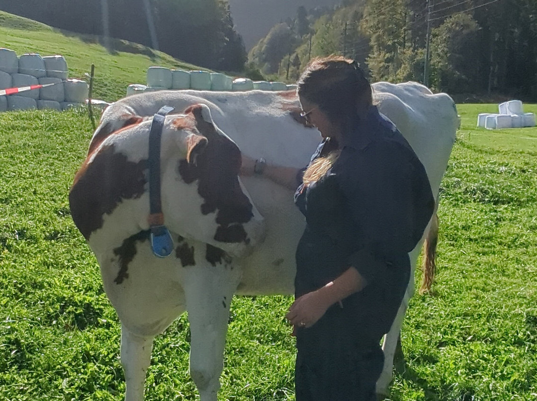 Hug & Mooh-Petit-Va必去景点