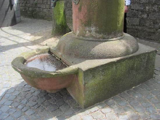 Strunk-Lorch必去景点