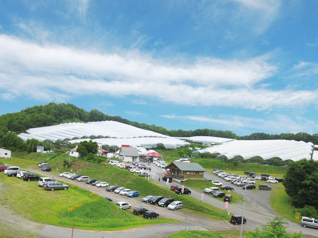 Ohashi Cherry Farm-芦别市必去景点