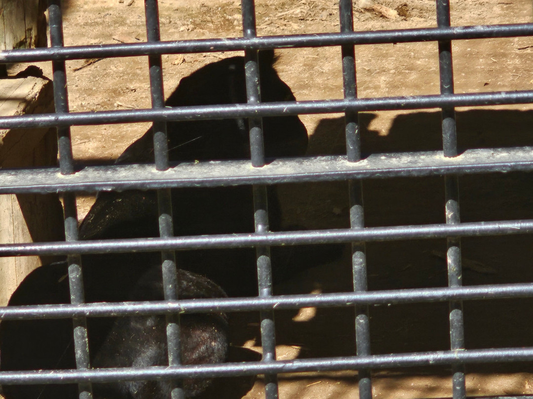 Hamamatsu Zoo logical Garden景点图片