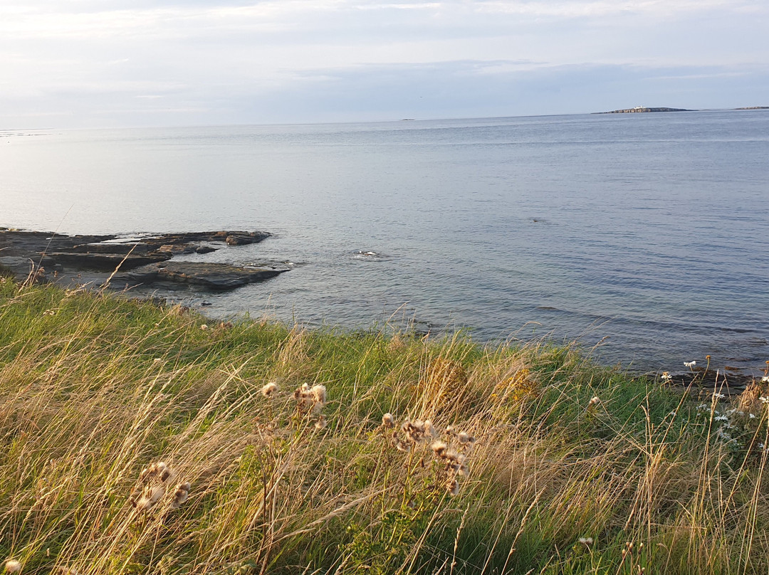 The Olde Ship Inn主图