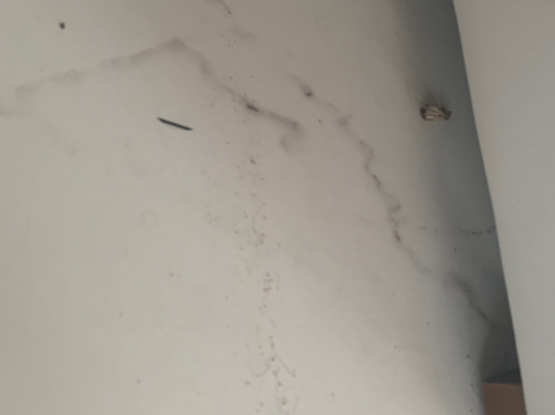 King Jason Protaras主图