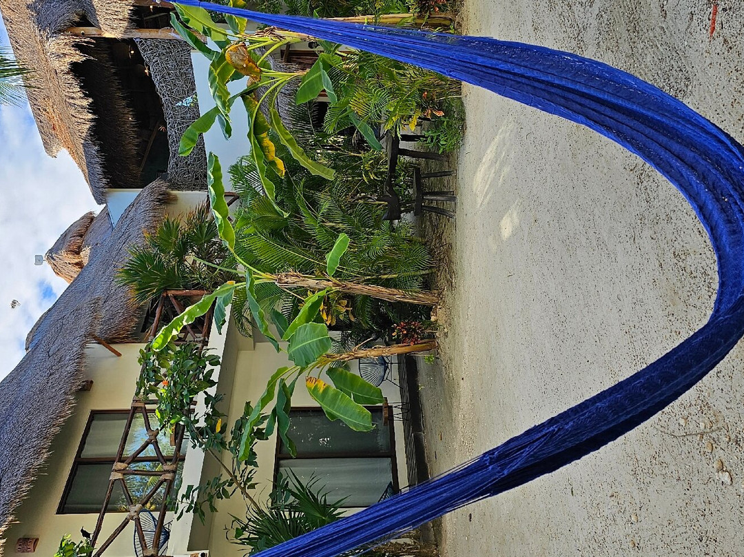 La Puerta Azul Beachfront - Adults Only主图