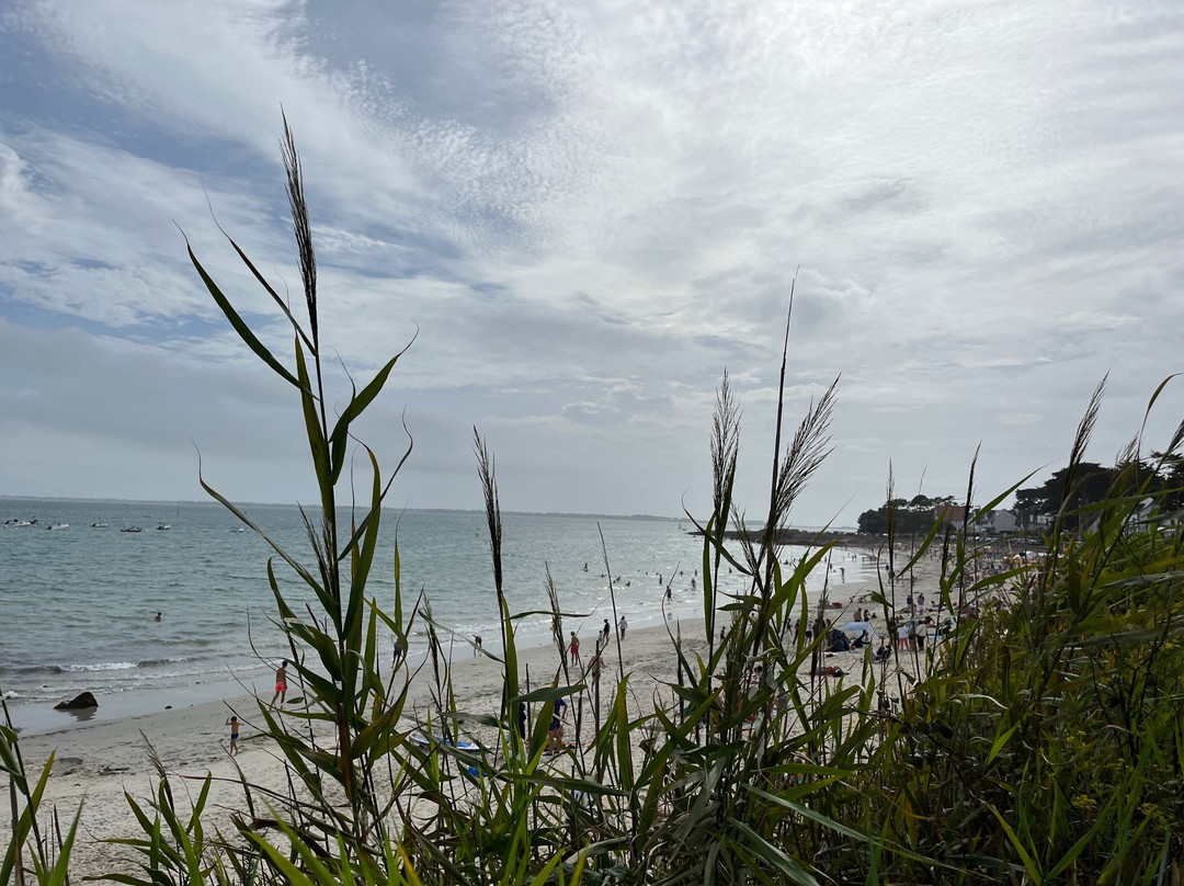 Plage De Légenèse-卡纳克必去景点