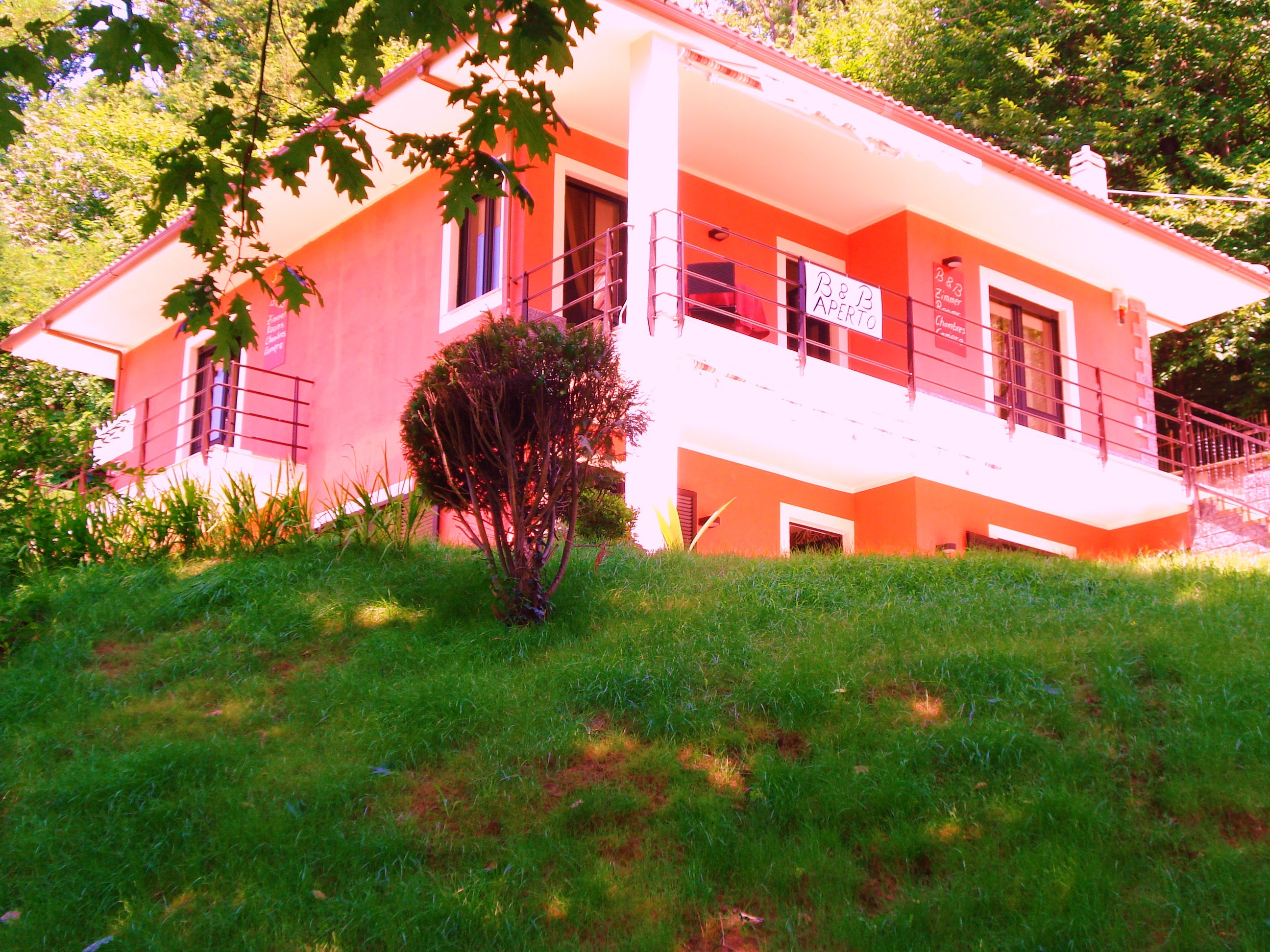 B&B La Casa nel Bosco-官方