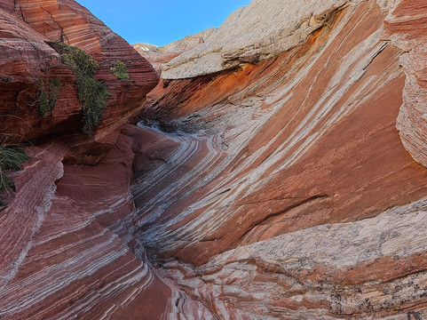 White Pocket-Grand Canyon-Parashant National Monument必去景点