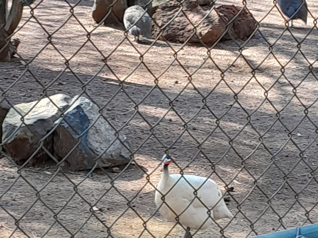 Zoologico de Moroleon景点图片