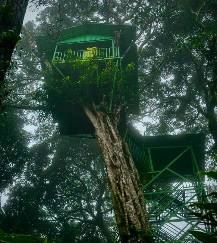 Kerala Private Tours - Travelberry Kerala景点图片