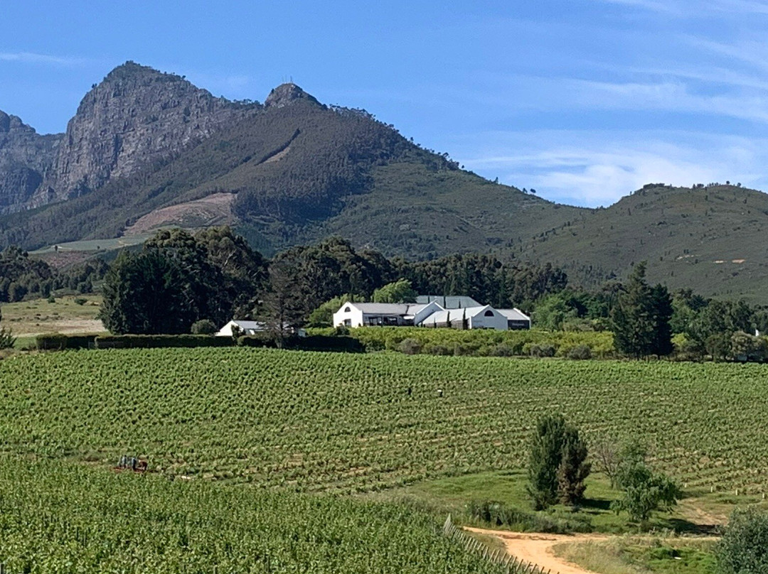 Marianne Wine Estate Guesthouse主图