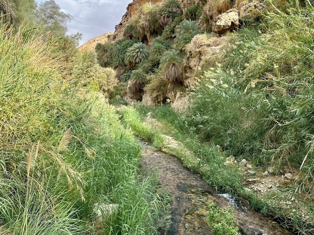 Wadi Bin Hammad-Karak必去景点