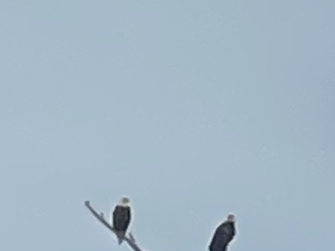 A Chateau on the Bayou Bed & Breakfast主图