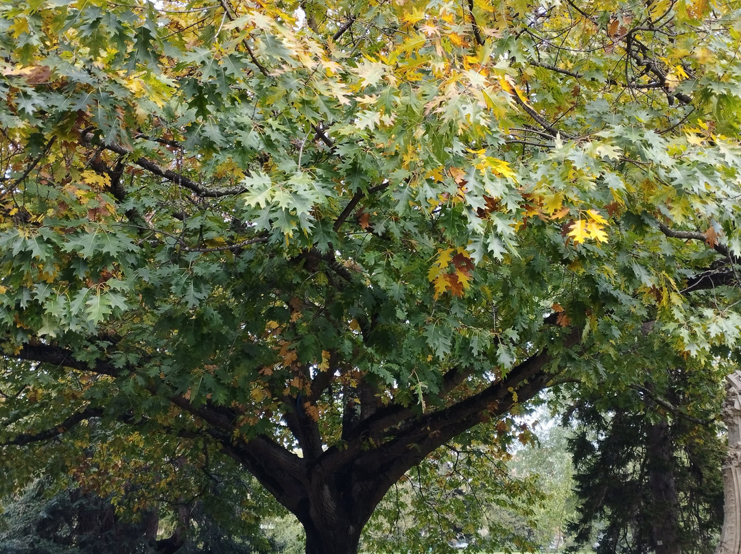 Jardin Des Plantes Toulouse-图卢兹必去景点