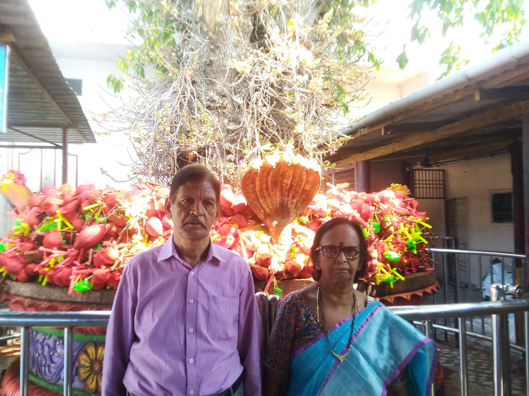 Lord Subrahmanyeswara Temple-Mopidevi必去景点