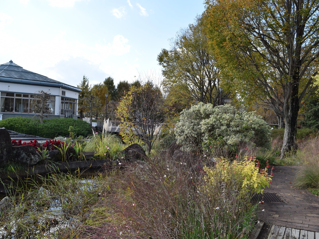Aquatic Plants Garden Mizunomori-草津市必去景点