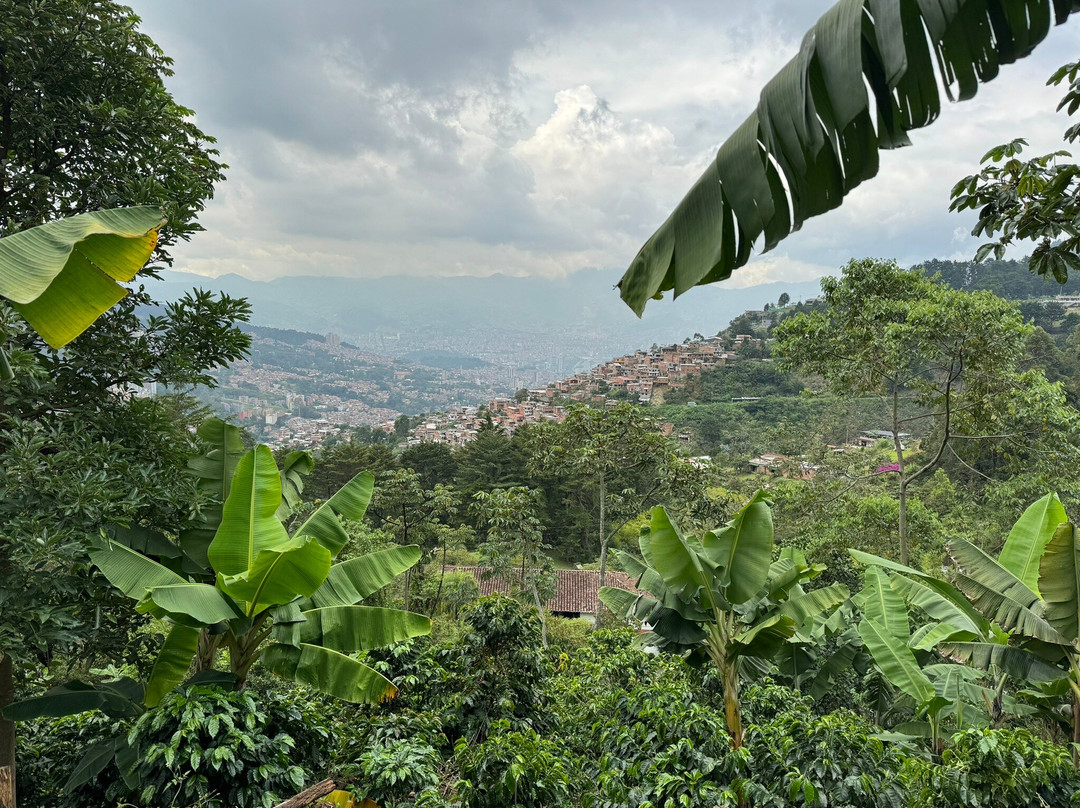 La Casa Grande Coffee Hacienda景点图片