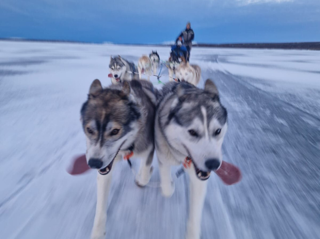 Snow Dogs-米湖必去景点
