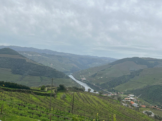 Touch Tours-波尔图必去景点