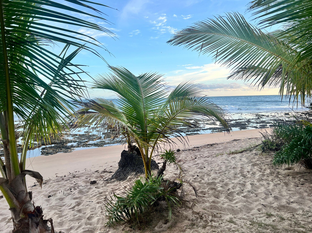 Pousada Tortuga主图