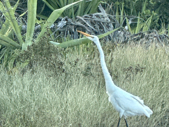 Kimcha Village Bird Sanctuary-Wheeland必去景点
