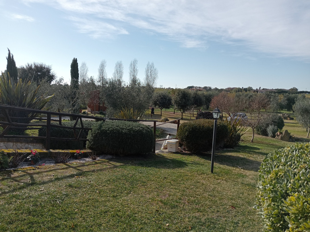 Agriturismo Casa Degli Ulivi主图