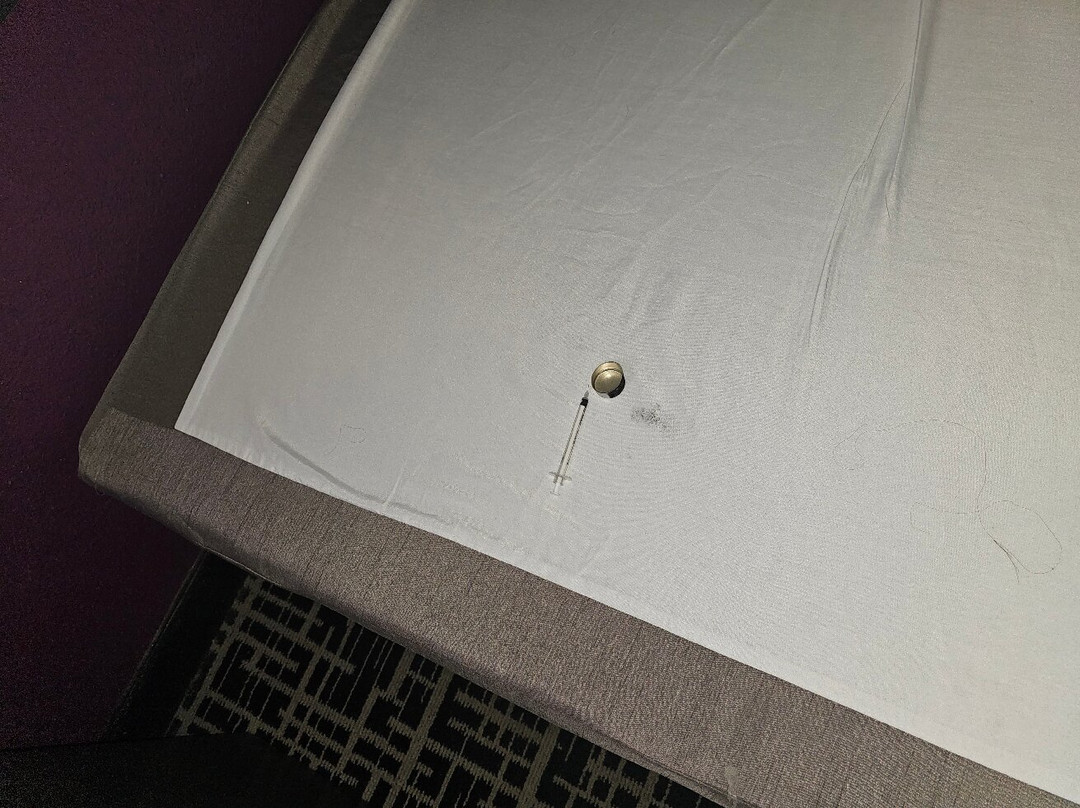 La Quinta Inn & Suites by Wyndham Latham Albany Airport主图