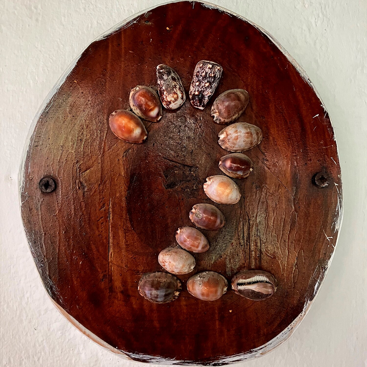 Calala Lodge-客卧